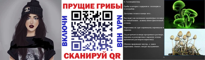 Псилоцибиновые грибы ЛСД Калининец