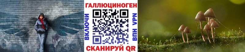 магазин Калининец Галлюциногенные грибы MAGIC MUSHROOMS